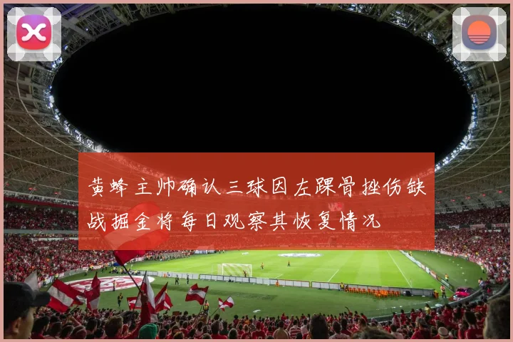 黄蜂主帅确认三球因左踝骨挫伤缺战掘金将每日观察其恢复情况