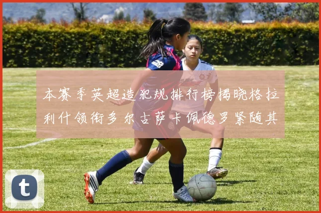 本赛季英超造犯规排行榜揭晓格拉利什领衔多尔古萨卡佩德罗紧随其后